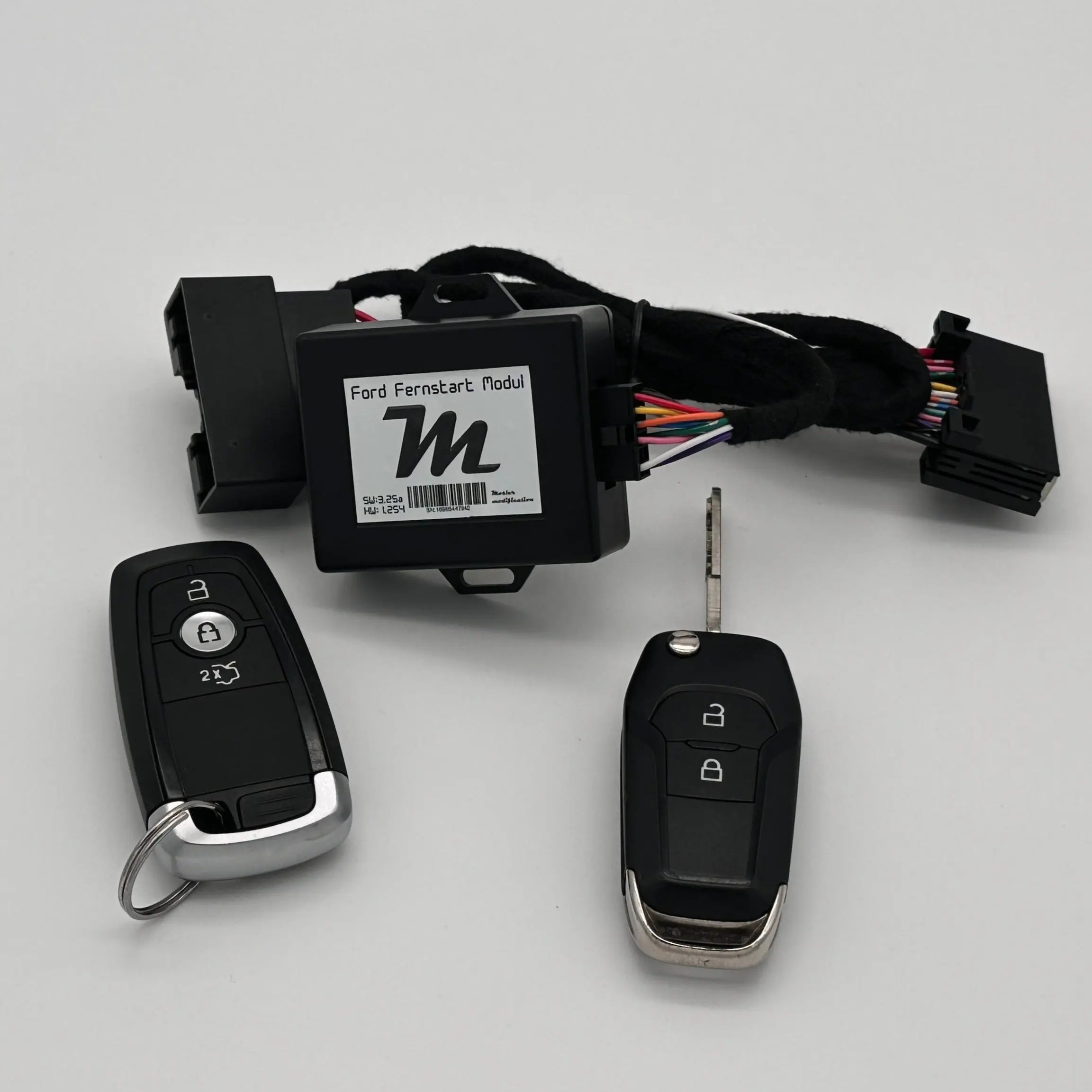 Ford Fernstart Modul